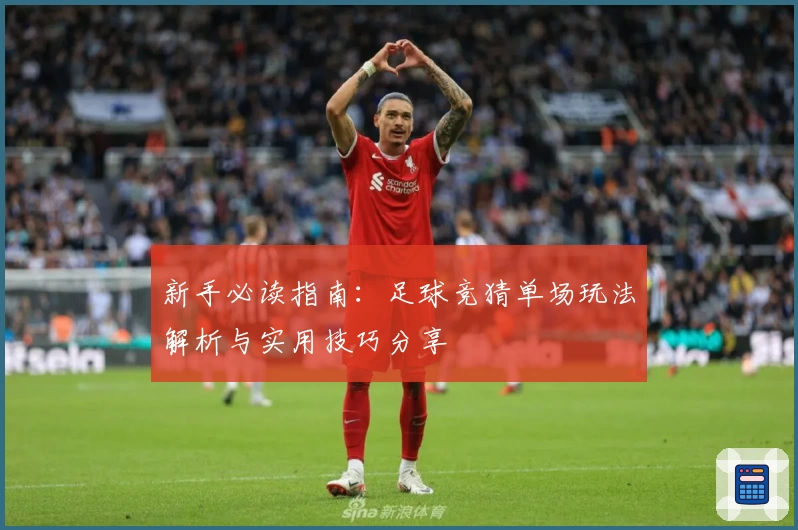 新手必读指南：足球竞猜单场玩法解析与实用技巧分享