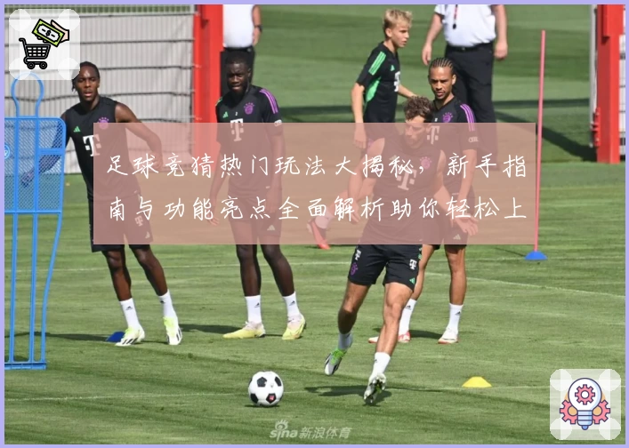 足球竞猜热门玩法大揭秘，新手指南与功能亮点全面解析助你轻松上手