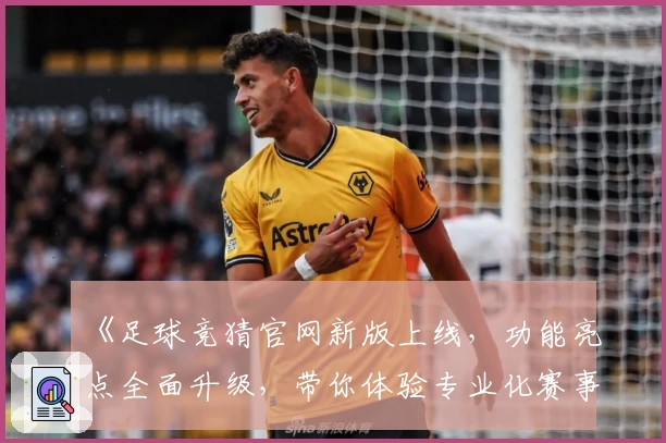 《足球竞猜官网新版上线，功能亮点全面升级，带你体验专业化赛事预测秘诀》
